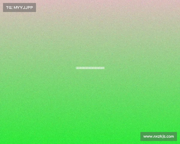 网球比赛基本规则详解与赛制流程全面解析